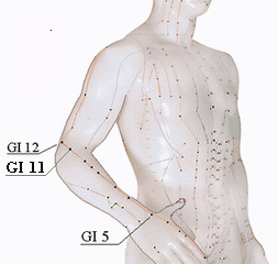 Поиск биологически активных точек (БАТ) на теле человека. Линия меридиана толстого кишечника: точки GI5 ян-си (в центре анатомической табакерки) и GI12 чжоу-ляо (у наружного края плечевой кости) – рука сгибается под прямым углом, а ладонь параллельна образующейся плоскости