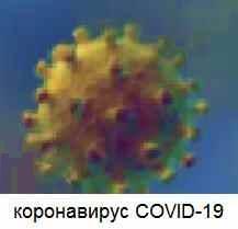 coronavirus СOVID